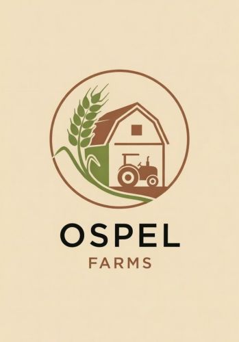 Colour castle portfolio